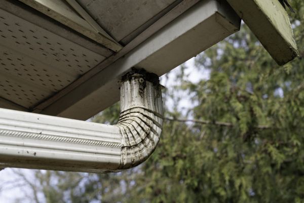 Roof Drain Replacement in Loveland